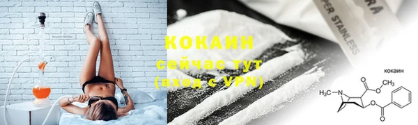 индика Лихославль
