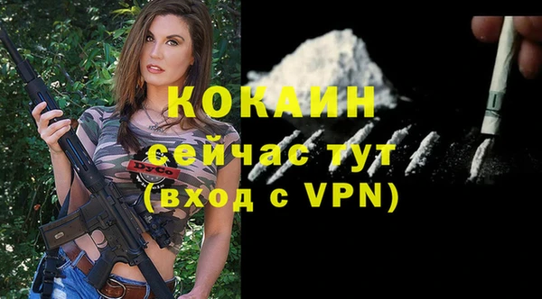 дживик Зеленокумск