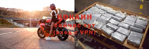 индика Лихославль