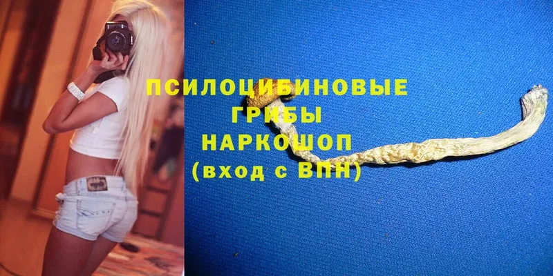 сколько стоит  Десногорск  Псилоцибиновые грибы Magic Shrooms 