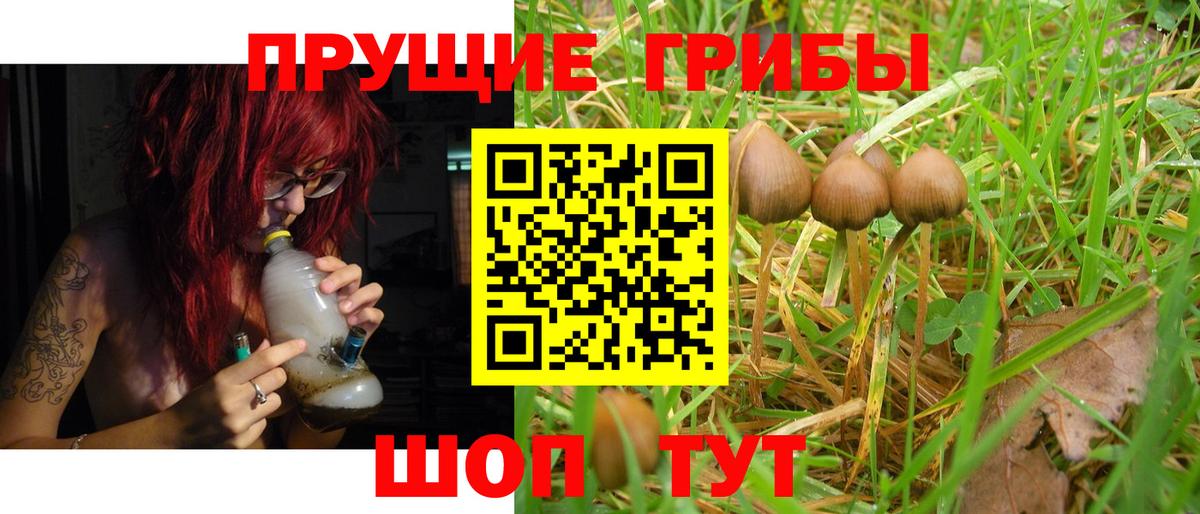 где продают наркотики  Десногорск  Псилоцибиновые грибы MAGIC MUSHROOMS  Галлюциногенные грибы Psilocybine cubensis 