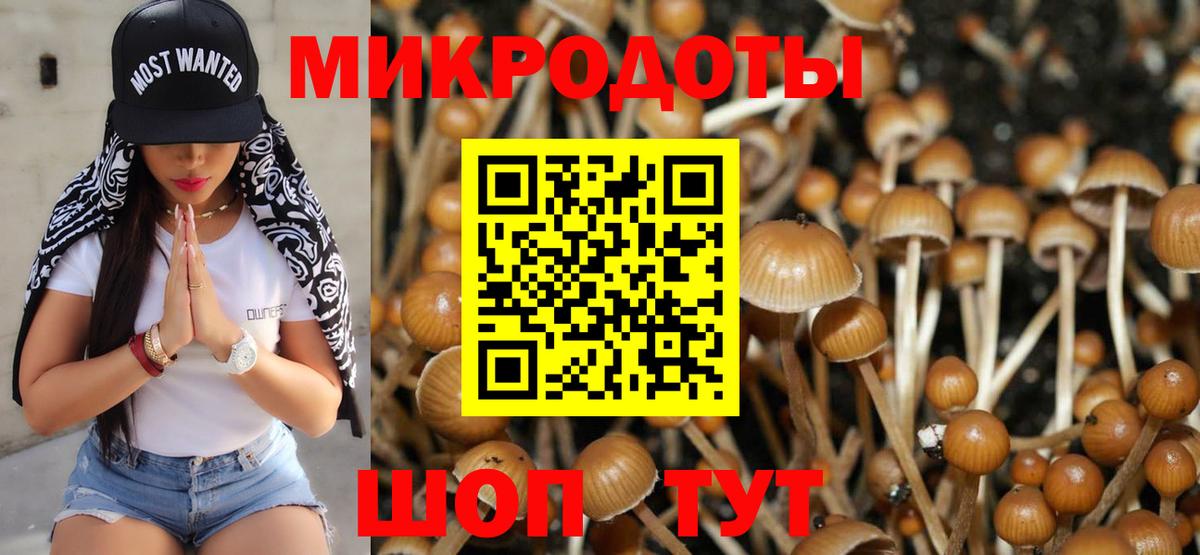 Галлюциногенные грибы прущие грибы Десногорск