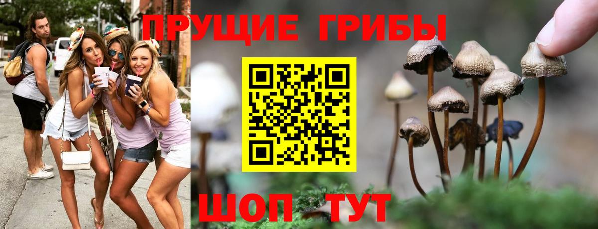 Галлюциногенные грибы MAGIC MUSHROOMS  Вход с VPN  наркотики  Десногорск 