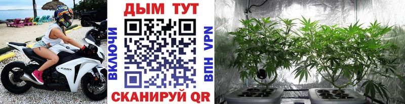 Конопля SATIVA & INDICA Десногорск